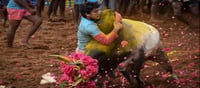 Jallikattu: To control the bulls, brave guys went into the arena...